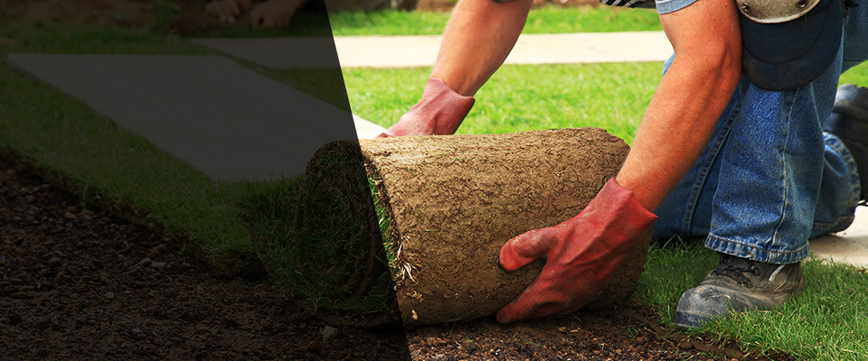 Carrollton Landscapers